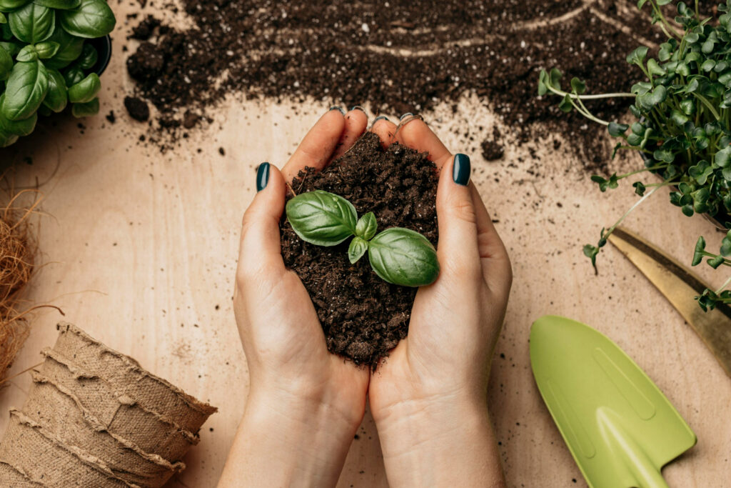 "Semana Lixo Zero": Ação troca resíduos para reciclagem por mudas de plantas em Manaus