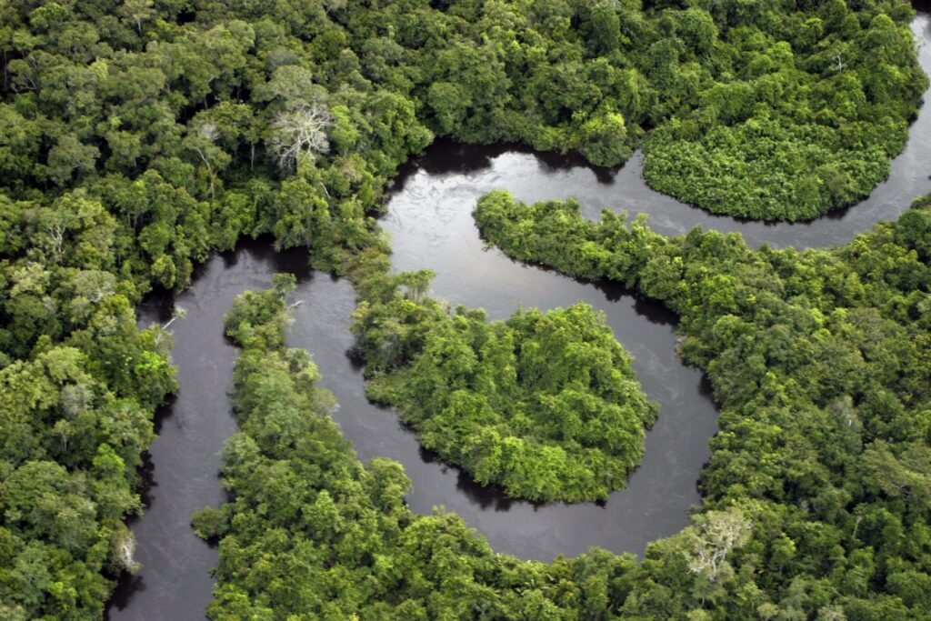 Equilíbrio entre desenvolvimento e sustentabilidade marca futuro da Amazônia