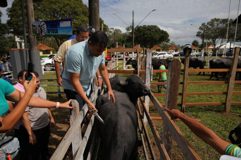 Governo Federal atende pleito de Wilson Lima e confirma AM como livre de febre aftosa sem vacinação