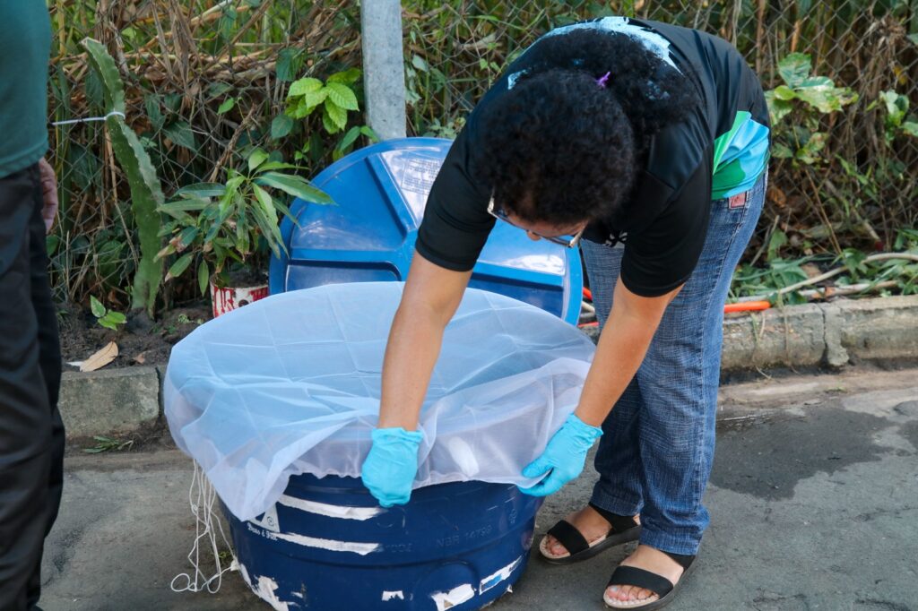 Rotina semanal de 10 minutos pode afastar risco da dengue em residências; saiba como