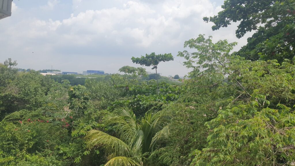 Fumaça encobre bairros de Manaus e qualidade do ar é considerada 'ruim'