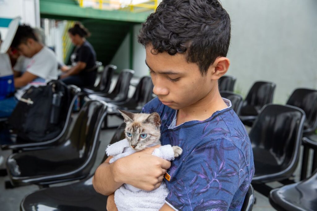 Castramóvel oferece 250 vagas para castração de cães e gatos na Zona Norte de Manaus