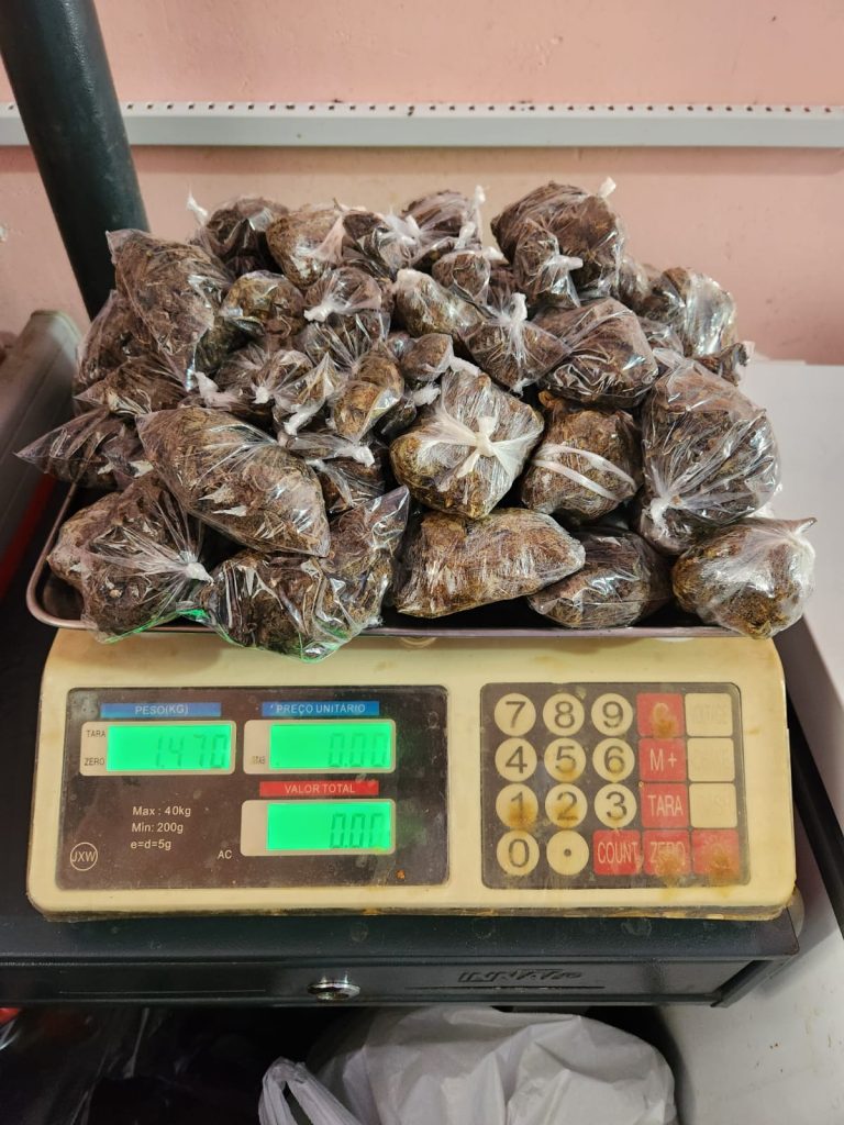 Em Alvarães, PC-AM prende mulher em flagrante por tráfico de drogas majorado pela participação de adolescentes – Polícia Civil do AM Em Alvarães, PC-AM prende mulher em flagrante por tráfico de drogas majorado pela participação de adolescentes – Polícia Civil do AM