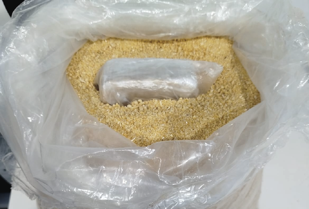PC-AM e GCM apreende droga escondida em saco de farinha, em Novo Aripuanã – Polícia Civil do AM PC-AM e GCM apreende droga escondida em saco de farinha, em Novo Aripuanã – Polícia Civil do AM