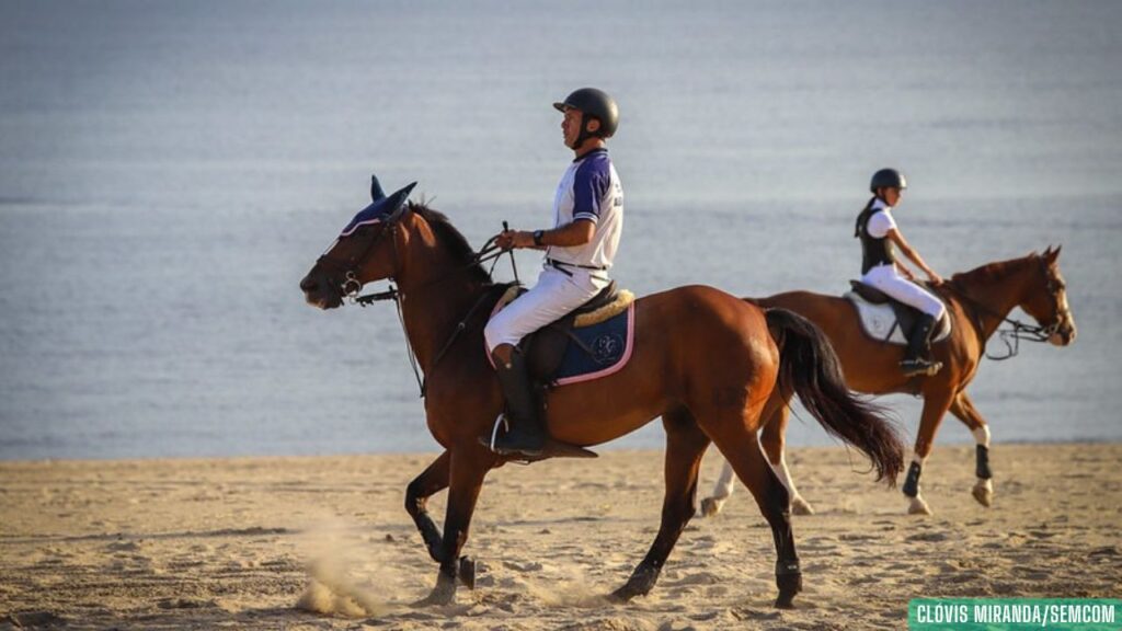 Prefeito David Almeida leva esporte equestre pela primeira vez à Ponta Negra e transforma a orla em palco de grandes competições Prefeito David Almeida leva esporte equestre pela primeira vez à Ponta Negra e transforma a orla em palco de grandes competições