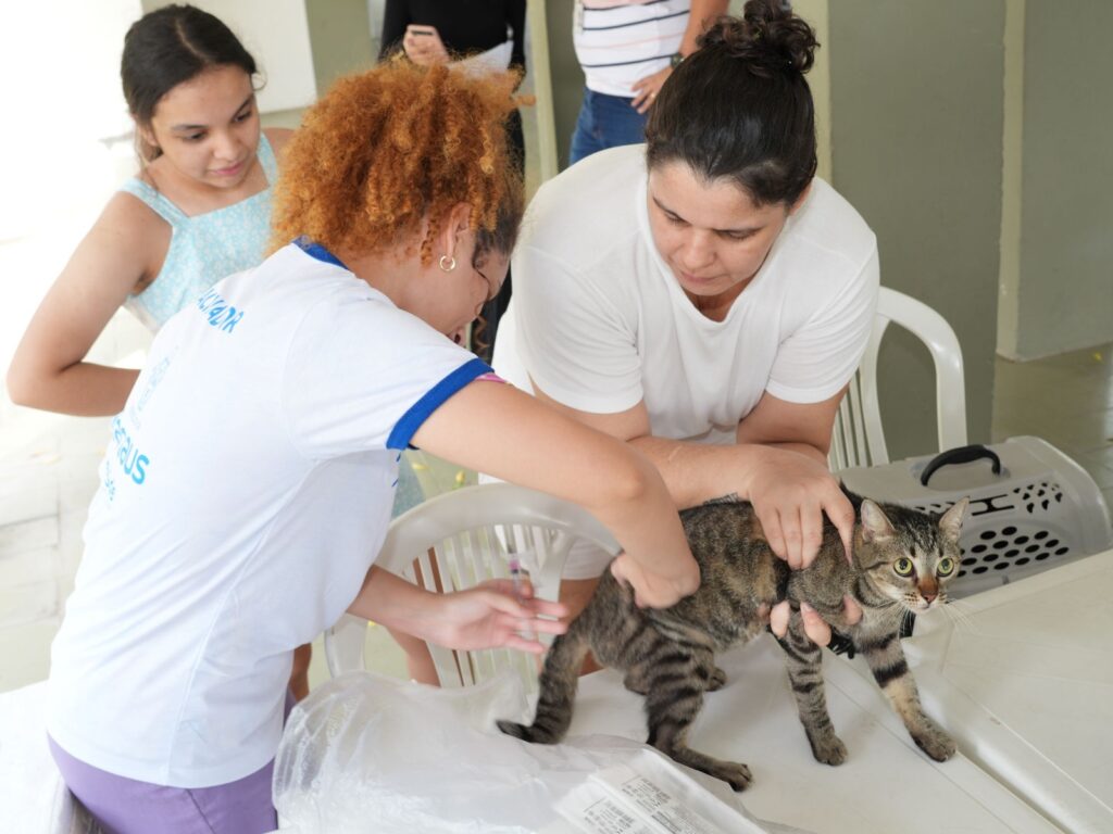 vacinação gratuita contra raiva segue em Manaus