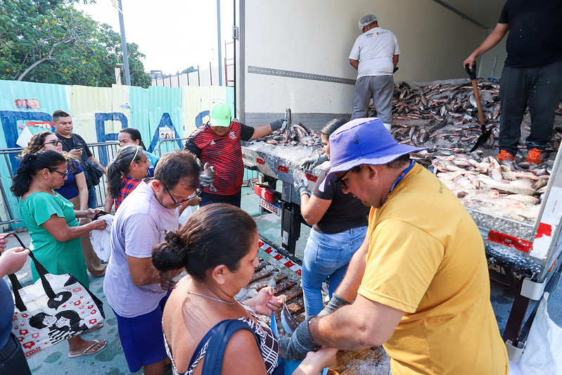 Prefeitura de Manaus beneficia cerca de 4,5 mil famílias na zona Leste com distribuição de 70 mil peixes Prefeitura de Manaus beneficia cerca de 4,5 mil famílias na zona Leste com distribuição de 70 mil peixes